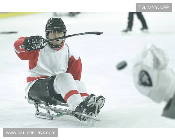 冰球奥韦奇金暴力射门破网，全队振奋